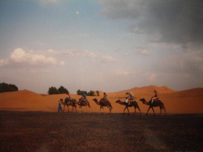 Camel Tour<br /><br />シャウエンで出会ったフランス人一家とラクダに乗って砂漠へ。<br /><br /><br />見えるのは限りなく続く砂丘、どうして方向が分かるんだろう？<br /><br />足がくるぶしまで沈みこむほどの深い砂。<br />器用に歩くラクダの背中に揺られてどこまでも...<br />遮るもののない強い日差し、熱された砂が放つ熱風。<br />肌がカッピカピに乾く。<br /><br />極度に乾燥しているので汗をかいている感覚がない。<br />ラクダを降りると、触れていた太ももやお尻の部分だけズボンの色が変わっている。<br />その汗も、一瞬で乾いてしまう。<br /><br />ラクダ使いとMobarekは、あたし達が激しく揺られないように砂の段差が少ない所を選んでラクダを引率する。<br /><br />あたしが乗ったラクダは若くて好奇心旺盛。<br />多少の段差はジャンプして飛び越えたがるやんちゃラクダだった。<br />おかげでかなりのスリルを楽しませてもらったけれど、降りてからお尻の痛さが和らぐまでは人一倍かかった。<br /><br /><br />日が落ちる前にオアシスに着く。<br />お互いに寄り添うようにし、長い足を器用に曲げて座るラクダ。<br />一日、お疲れ様。<br /><br />月明かりの下、いい夢見てね...