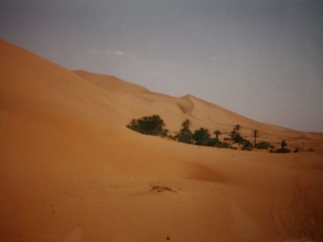 Camping at Oasis<br /><br />キャメルツアーで一日かけて到着したオアシス。<br />大きなテントがたくさん並んでいる。<br />ラクダ使いとMobarekはずっと歩いて来たから疲れているはず。<br />なのに休む間もなく、テキパキと料理を作ってくれた。<br />至れり尽くせり...<br />砂漠のど真ん中に居るとは思えないほど快適。<br /><br />月明かりがこんなに明るいとは知らなかった。<br /><br />Mobarekと砂まみれになりながら砂丘を走り回る。<br />テントで横になってくつろぎ、みんなで話をする。<br />MobarekがTam-Tamを持ち出して演奏を始める。<br />ラクダ使い達が合わせて歌いだす。<br /><br /><br />自分は今、この地球上に存在して生きてるという実感を<br />生まれて初めて、体で感じた。<br /><br />自分たちを取りまくのは、大自然。<br />電気もない。車もない。<br />何も要らない。<br /><br />奏でる音楽が砂漠の静寂の夜に響き渡る。