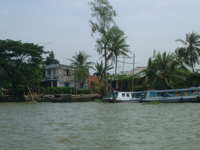 両岸はなんとなーくこんな風景です。
