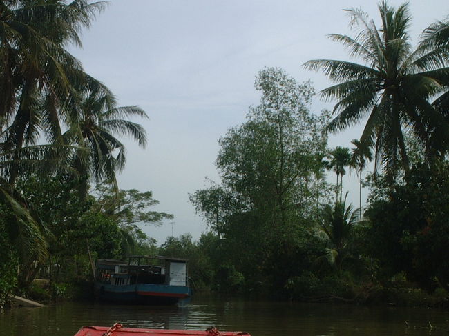 さてさて、ミトーからメコン川をカンボジア方面に西に入り、メコンデルタのヴィンロンに向かっていくにつれ、どんどんと河が狭くなっていきます。