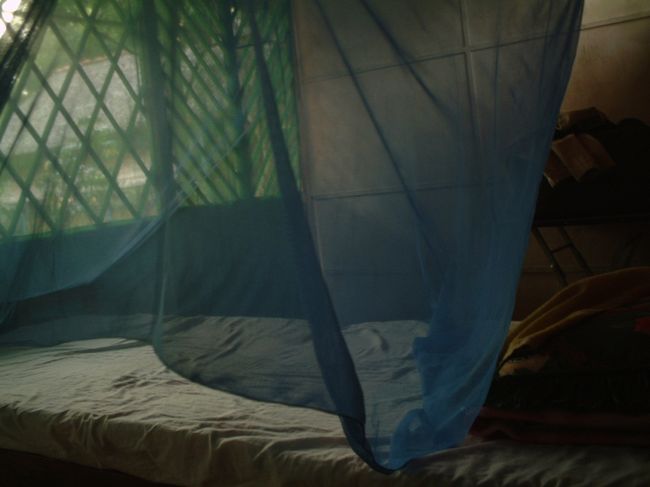 お部屋は蚊帳をつっています。<br />そりゃ、蚊も入ってくるよね。<br />