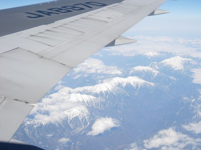 日本のアルプスたちもキレイに見えました