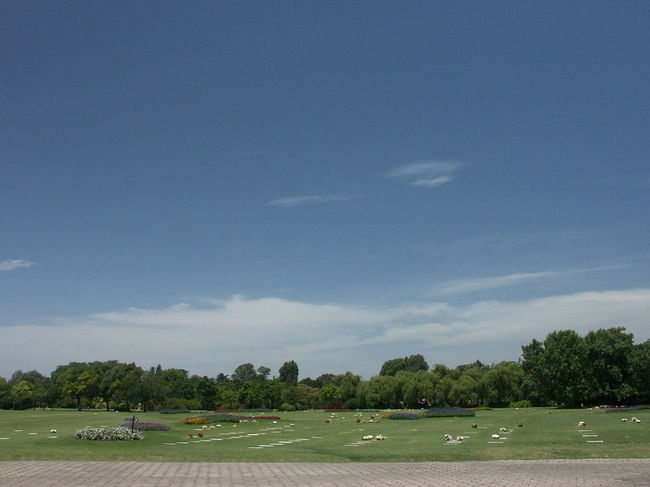 正月休みを使って、会社の友人とパタゴニアに行った。<br />友人は休みが少しずれていたこともあり、関西の実家から直接アルゼンチンへ行くので、現地集合となった。<br />私は成田からSan Fransisco, Miamiと乗り継いで、Buenos Airesへ。<br />ブエノスアイレスは96年、まだ学生の時に南米を回った時に立ち寄ったが、その時はただブラジルからペルーへの通過点でしかなかった。<br />しかし、今は違う。<br />アストル・ピアソラの音楽に出会ってからは。<br />私にとって、神様的存在。<br />それまではチャイコフスキーが一番だったが、流石にお墓まで行きたいなんて思いもしなかった。<br />ネットで調べたところ、Buenos Aires郊外のJardin de Pazと言う墓地にあると分かったので、空港到着早々、拙いスペイン語で行先を伝え、タクシーに乗り込んだ。<br />30分ほど揺られ、Jardin de Pazに着いた。