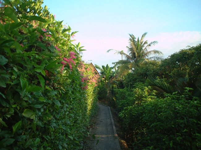 麗しい道を歩いて果樹園に向かいます。<br />いい天気！