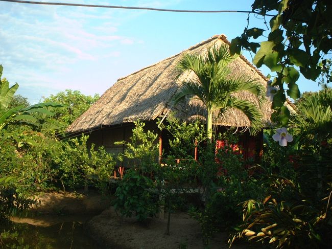 こちらも同じく。