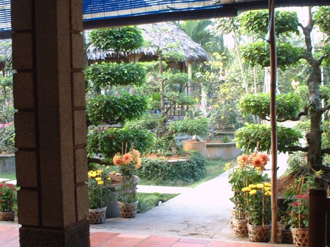 お庭をみながらあさごはん。