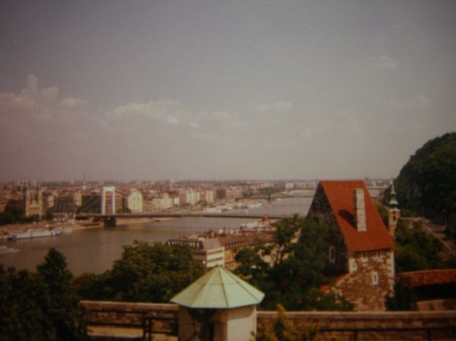 Full of bridges<br /><br />丘の上から見るドナウ...あぁヨーロッパ