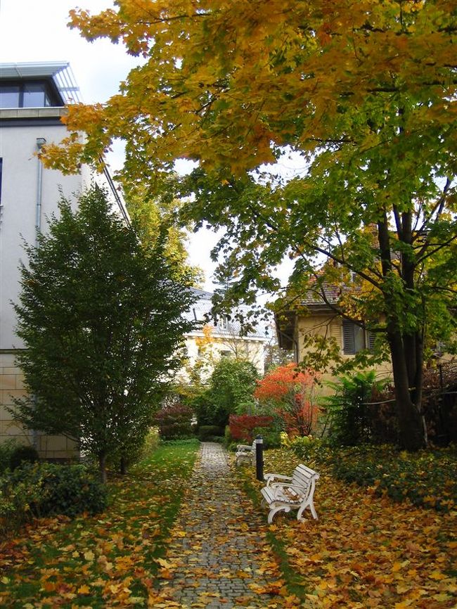 素晴らしい紅葉。