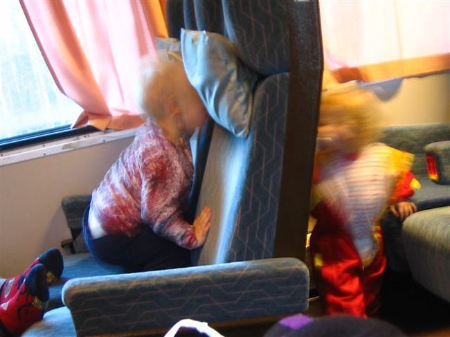 兄妹がじゃれあっています。<br />かわいい。