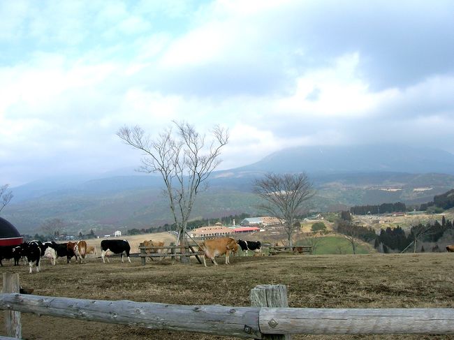 帰りは、高千穂牧場によって来ました。<br />ここの、ソフトクリーム、、、<br />美味しかった、、、。。。<br />子供みたいですね、、、<br />ごめん、、。。。(^^ゞ