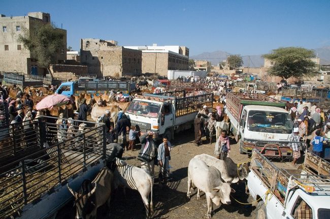 ・やはり動物スークです。