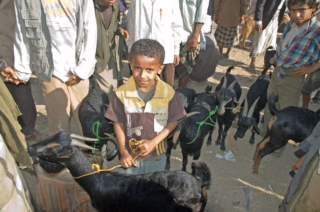 子供も一人前の仕事をします