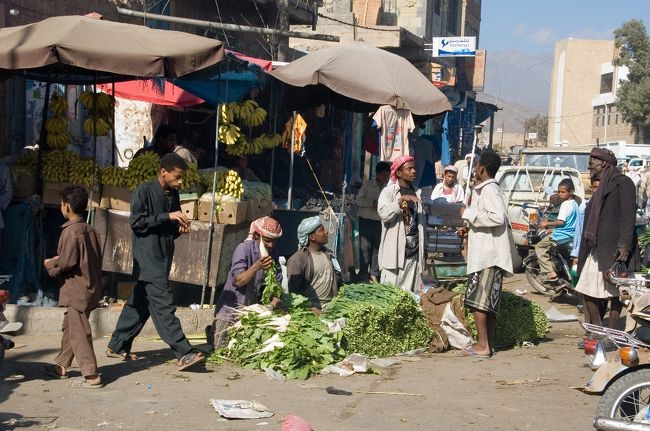 野菜スークです。<br />にんじんや大根は小振りですが、生のままかじっても甘みが多く大変美味しいものです。<br />にんじん一本ぐらいは、すぐに食べられます。