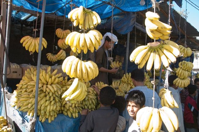 食べ物スークの見学。
