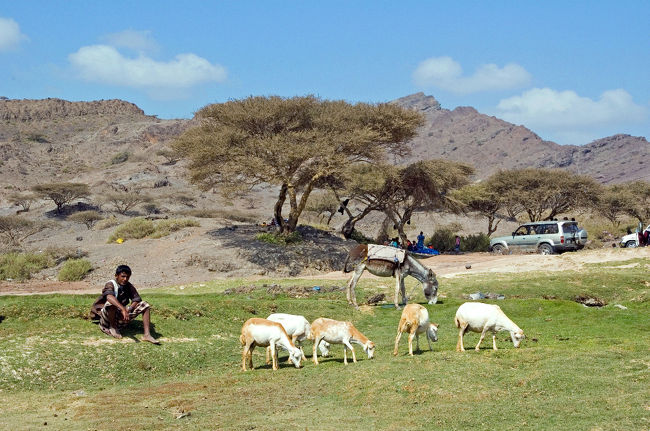温泉と言ってものんびりしたものです。