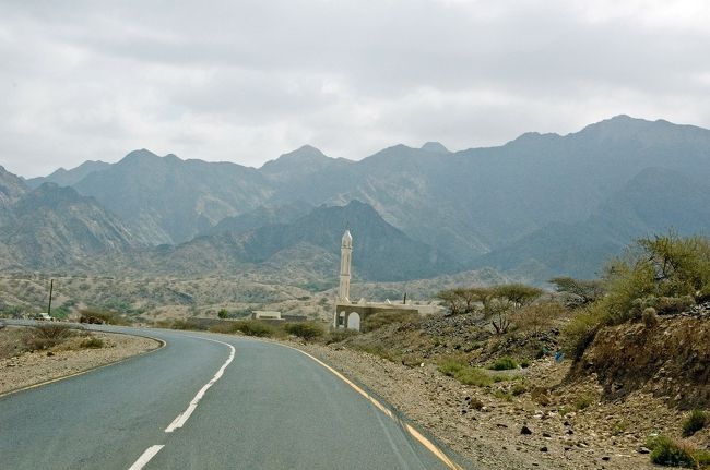 １１：２３　<br />もう初日から数えると十数回目の検問(出発より１１９ｋｍ)<br />非常に多いです