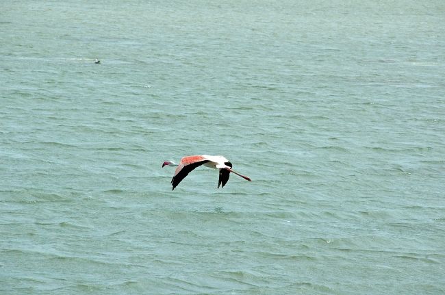 海上道路（コーズ・ウェー）の途中