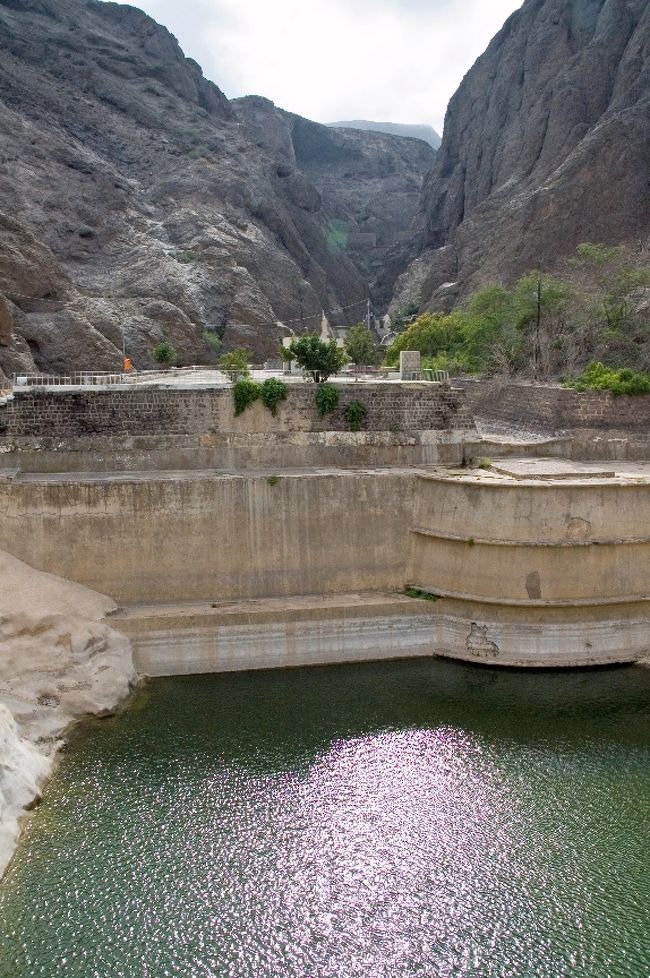 １８５４年イギリスによって発見される