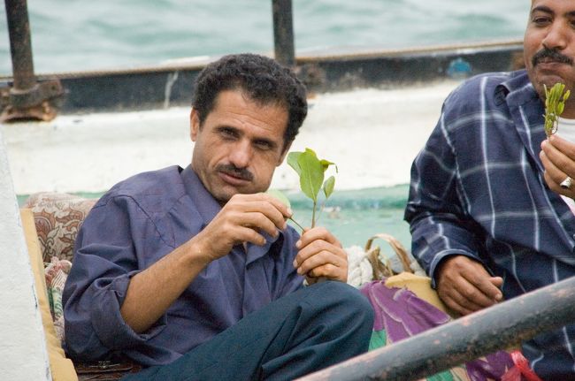 これは最高だよ！<br />って言ったかどうか。