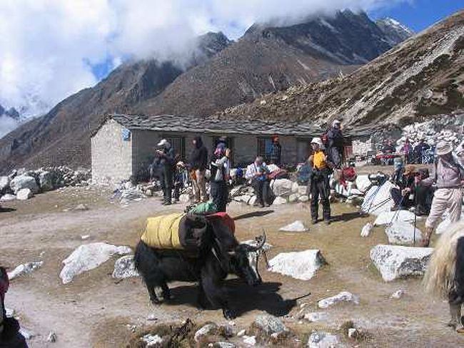 休息をとるトレッカーたち<br />トレッキングルートのあちこちに<br />このようなお茶を飲める場所があります。