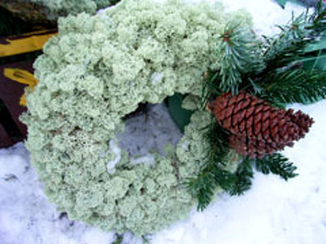 リースを売っている花やさんもありました。<br />リースは日本みたいに華やかな物ではなく、<br />どちらかというとシンプルにまとめた物が多い気がしました。<br />さりげなくってカワイイ!