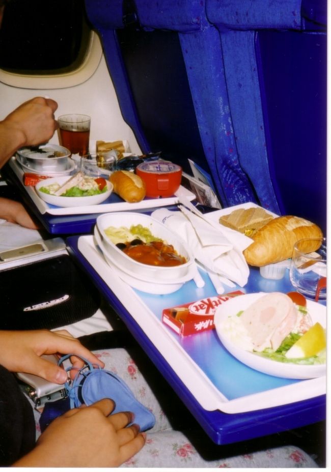 成田発の夜行便で出発。<br />機内食もおいしいし、夜食にカップめんなどもある。<br />一眠りした後に朝方到着するこのフライトは、時差ぼけも軽くすんで、気に入っている。