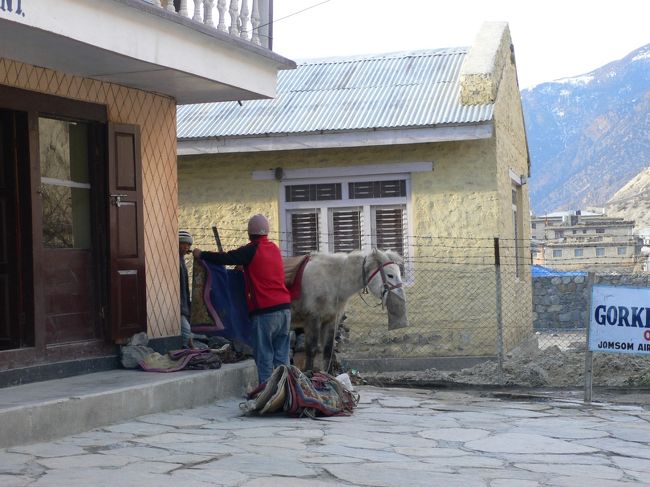これから私の相棒となる馬、システィに鞍を乗せる馬子のお兄さん。