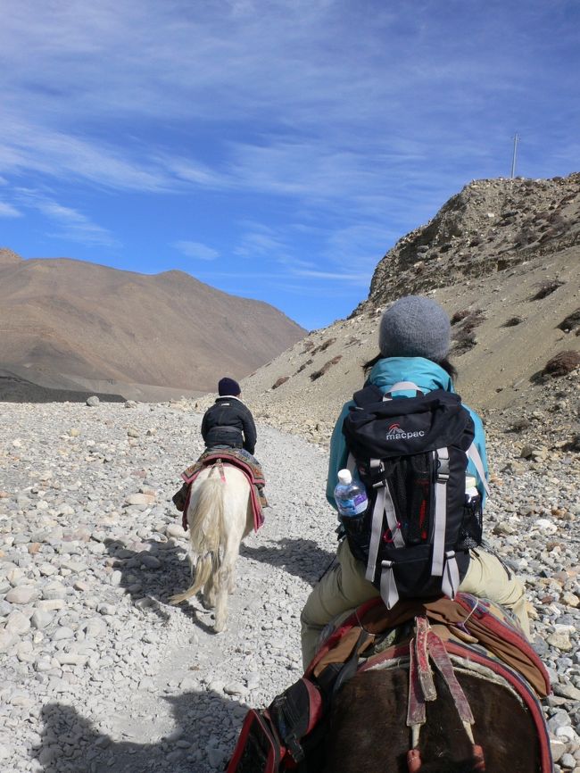 ゆっくり歩く私たちを、地元の少年が颯爽と抜かしていった。