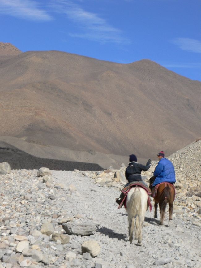 親子連れだった。なかなか言うことを聞かない馬に鞭を入れる少年を、父親が見守っていた。