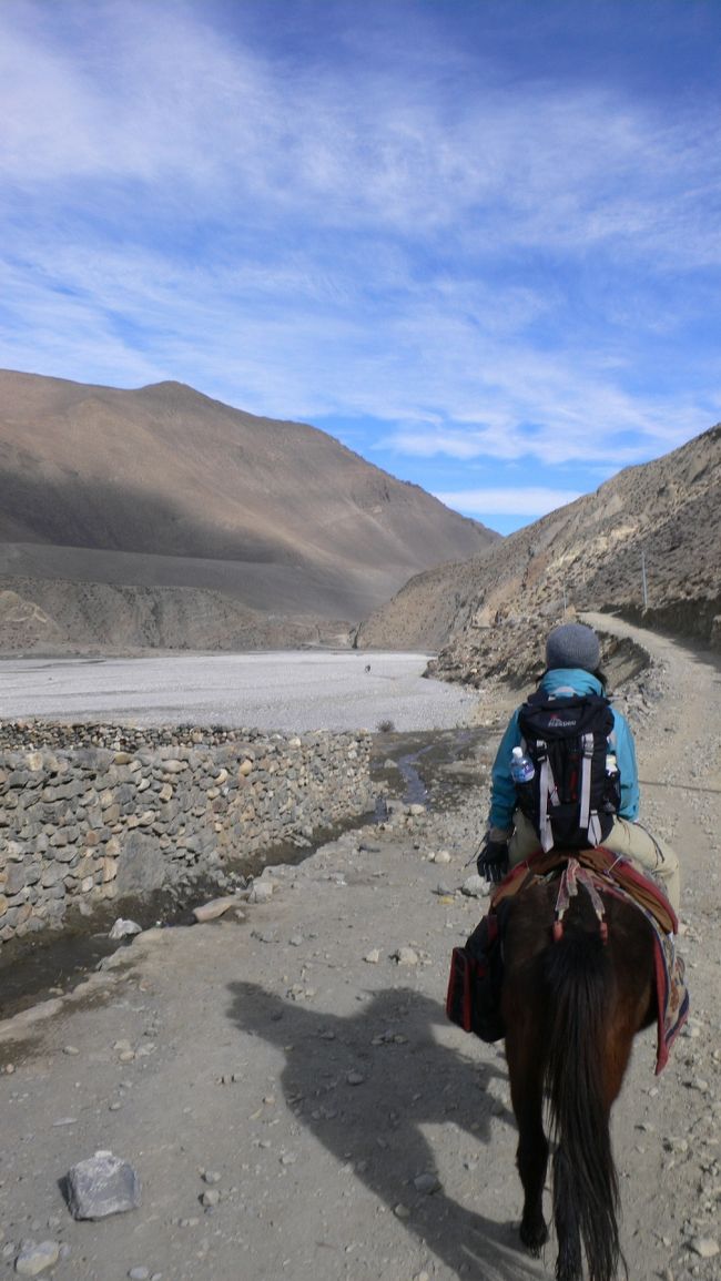 ひたすら川沿いを行く。高低差は殆ど無い。