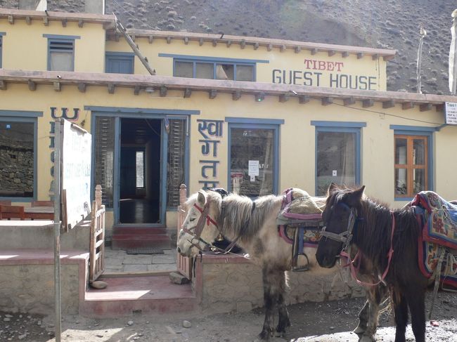 昼食＆休憩のために立ち寄ったロッジ。