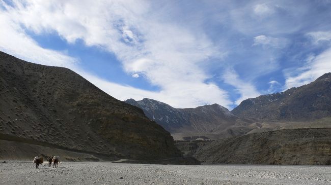 チャを飲んで暖まったところで、馬に乗り続けて固まった体をほぐすために周辺を散策。<br />見渡す限り、山と空。