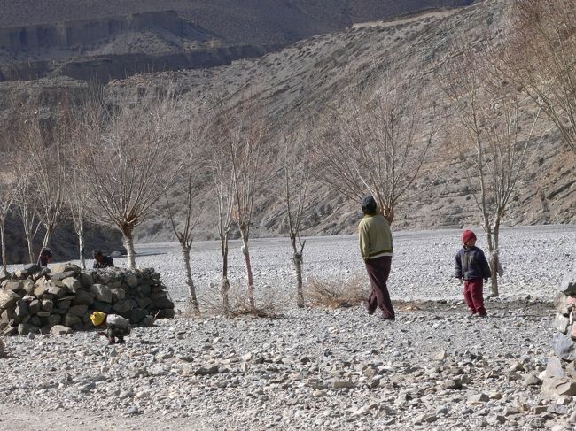 隣のロッジのちびっ子とお兄さんが遊んでいた。