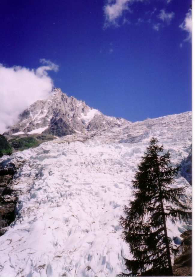 さらに10分ほど登ると、こんな感じ。<br />手を延ばせば、氷河に触れられるような距離。