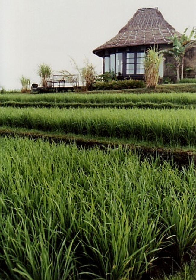 【中古】 バリ島 ２０１２/昭文社 バリ島 2012 /昭文社（ムック）の通販 by VALUEBOOKS｜ラクマ