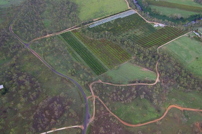 恐怖心はありませんでした．<br />飛んでいるという実感もあまりない．<br />表現するとすれば，夢心地かな．