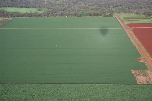 もう３０分たったのかぁ...<br />なんて思いながら目線をあげると，自分たちの乗った気球の影が映っていました．
