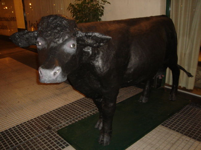 トルトーニをでてホテルに戻る途中で『Grill Oriente』というレストランの前で牛を発見（もちろん偽物です）<br />このレストラン、アルゼンチンビーフが売りのお店らしく結局滞在中に２度ほどお世話になりました！詳細はあとのレポで！