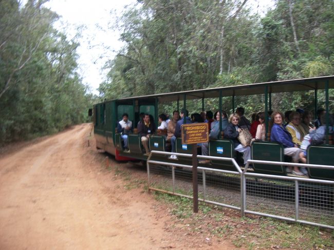 電車は川沿いの林の中を走る。