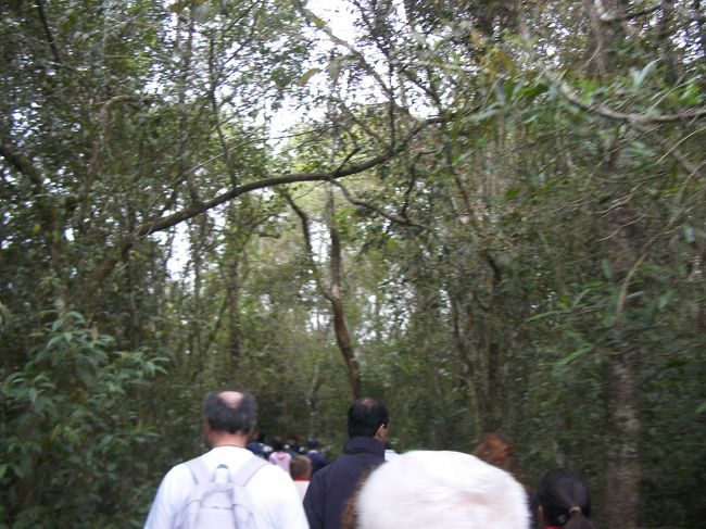 『悪魔の喉笛』は終点の駅で降りる。駅前は林に囲まれており此処から『悪魔の喉笛』までの長い橋が始まる。