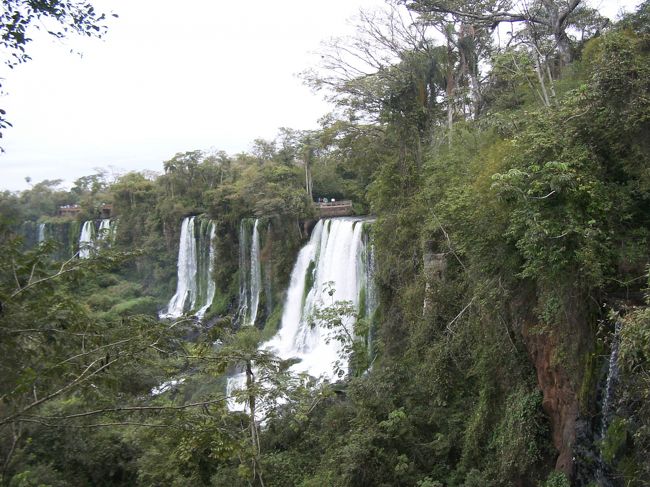 たくさんの滝に囲まれた緑の遊歩道。