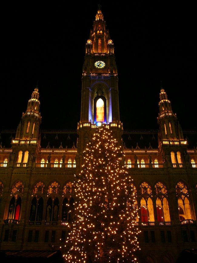 ウィーンに戻ってきました。<br />市庁舎前のクリスマスマーケットを見に行きましたが<br />25日の夜だったためかどこのお店も閉まっていました。残念。市庁舎のライトアップとツリーがきれいだったので満足しました。