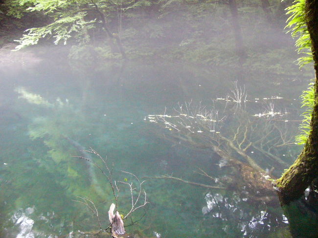 とにかく水もきれいで自然がすごいね☆