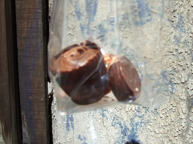 アーケード内のチョコレート屋です。名前は失念しました。日本人の店員さんがいらっしゃるので、気軽に頼めます。1個からOKなので、いろいろ試してみては？<br />ちなみにチョコ3つで2.29Euroだったかな？