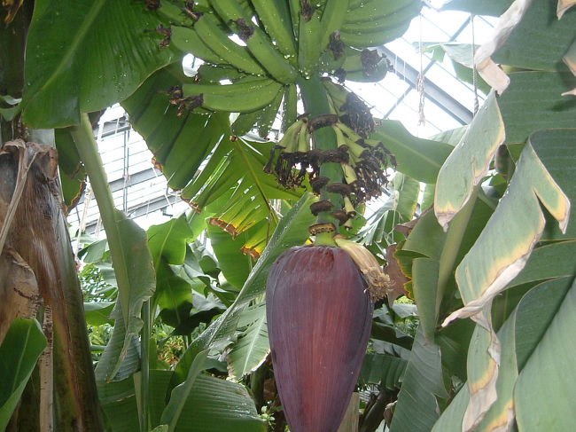 そのご南房パラダイスへ