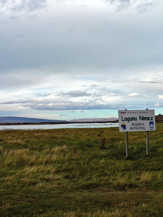 白鳥などいろんな水鳥が飛来して来るニメス湖の光景。<br />