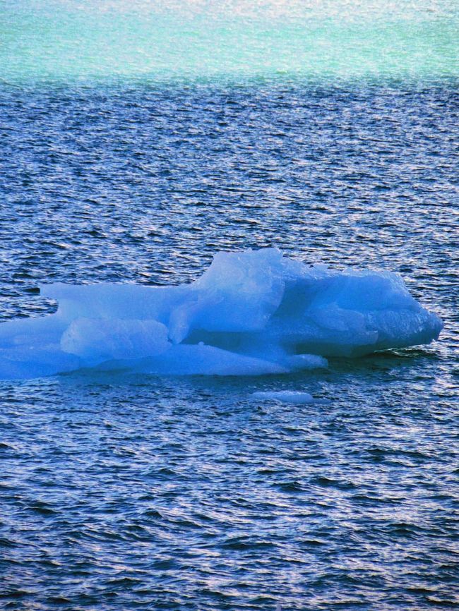 湖水には崩落した氷山の氷がたくさん浮遊している。<br />