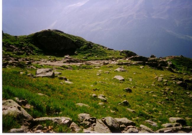 この時期、一面のお花畑でした。<br />名前はわかりませんが、黄色い花が一面に咲いていました。