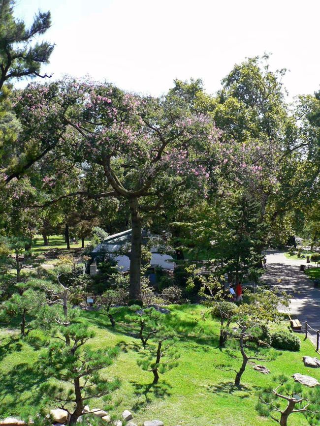 日本庭園の光景。<br />