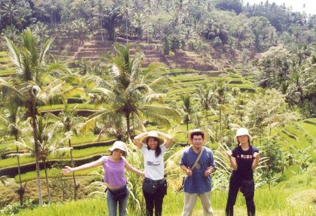 バリ島は山手の田んぼから順番にお水を引き入れ、<br />稲を植えます。２．５毛作なので、移動していると、色んな田んぼの姿を見学できます。<br />お水が全ての源なんだね。